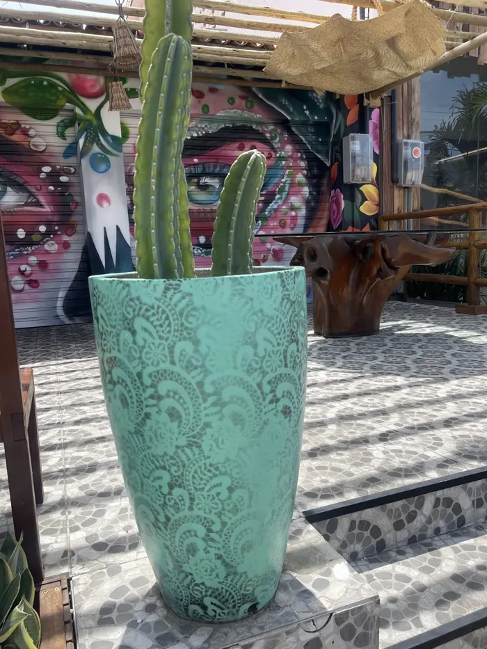 Vaso alto verde-água com cacto