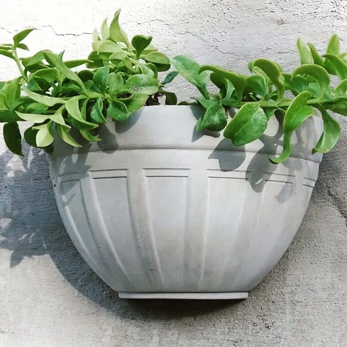 Vaso de parede cinza com plantas
